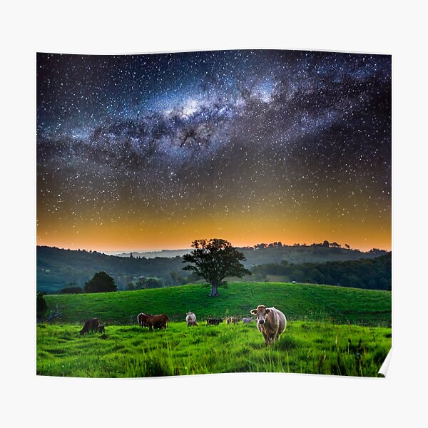 Life in Northern NSW Poster