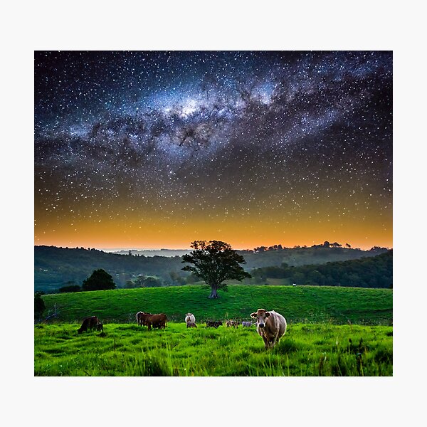 Life in Northern NSW Photographic Print