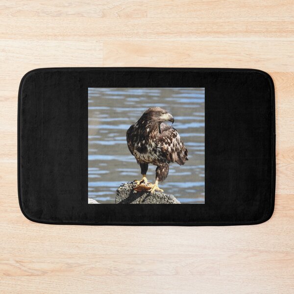 Item preview, Juvenile bald eagle designed and sold by RichImage.