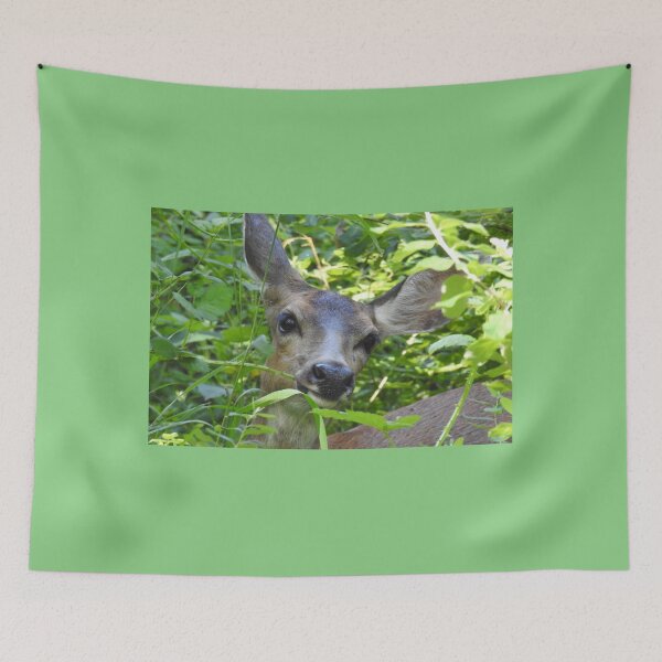 Item preview, Doe-gentle spirit of the wood designed and sold by RichImage.