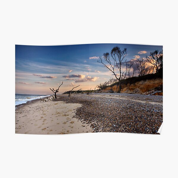 Summer evening at Benacre Beach, UK Poster
