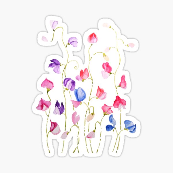Item preview, hand painted colorful sweet peas flowers watercolor  designed and sold by ColorandColor.