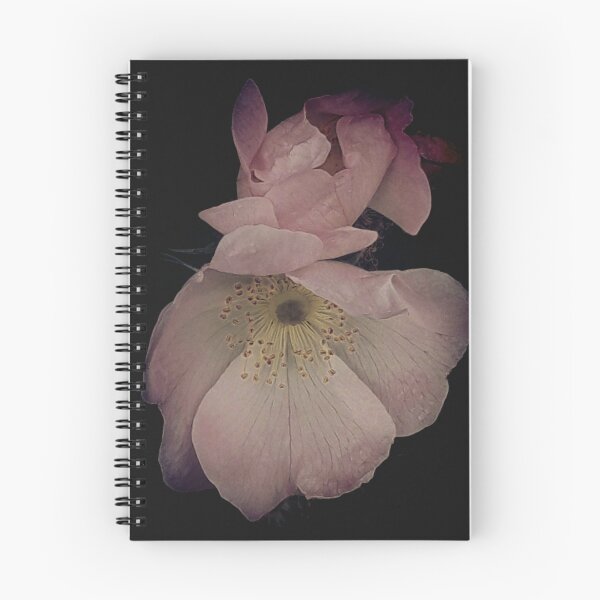 Item preview, Rosa salvaje designed and sold by Tanja Katharina Klesse.