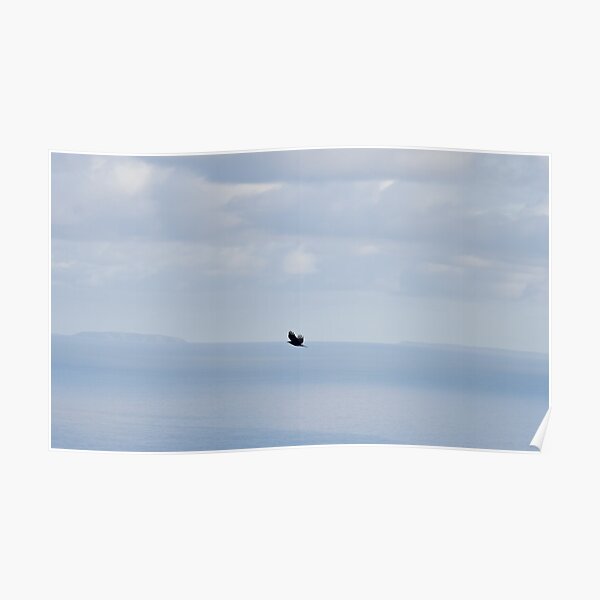 Wedge Tailed Eagle and a Sea of Blue Poster