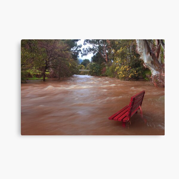 Item preview, Yarra in flood Warburton  designed and sold by Donovan Wilson.