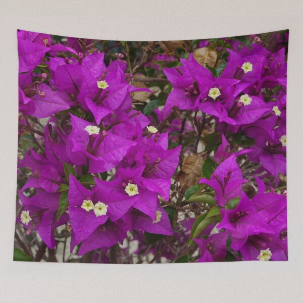 Item preview, Bougainvillea designed and sold by The Rage Garden.
