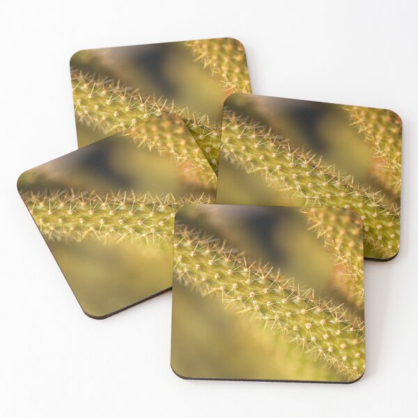 Item preview, Cactus Ouch Spikes designed and sold by Joy Watson - Natural Light Photography .