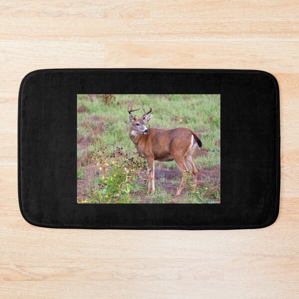 Item preview, trophy buck by camera... designed and sold by RichImage.