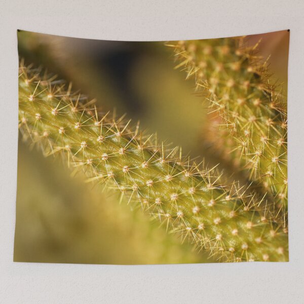 Item preview, Cactus Ouch Spikes designed and sold by Joy Watson - Natural Light Photography .