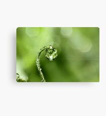 Early Morning Dew Metal Print