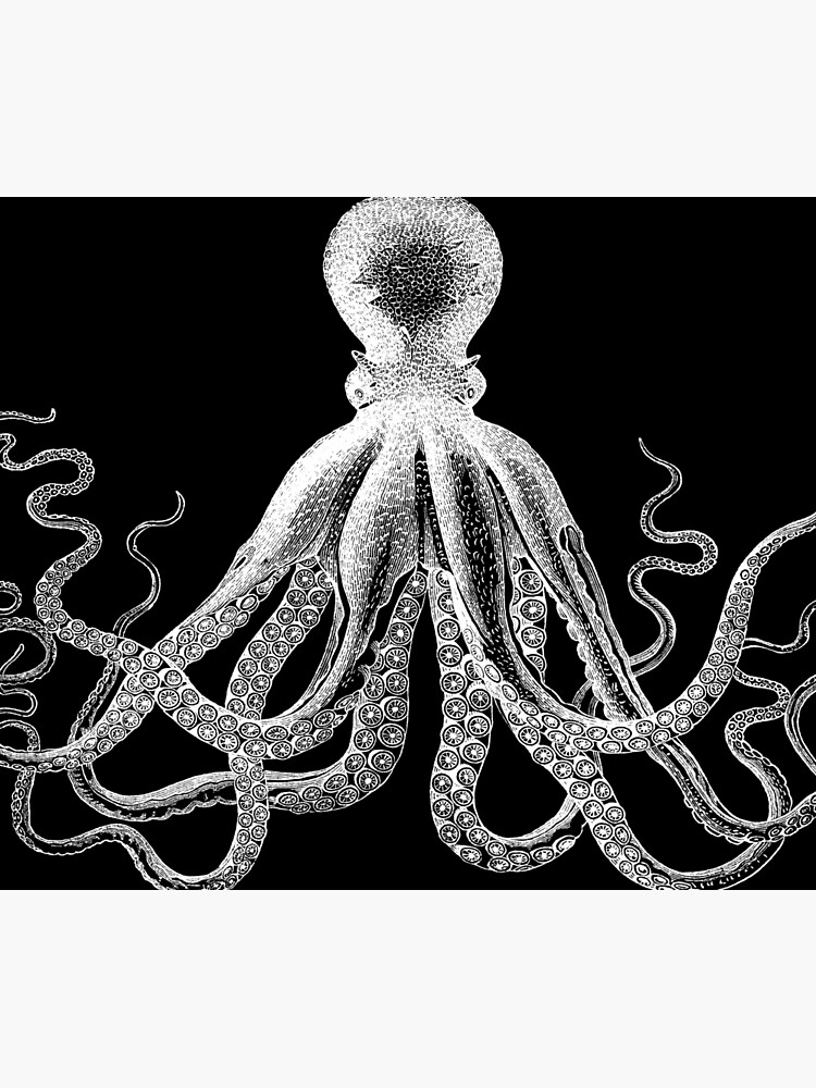 Octopus | Vintage Octopus | Tentacles | Sea Creatures | Nautical | Ocean | Sea | Beach | Black and White | by EclecticAtHeART