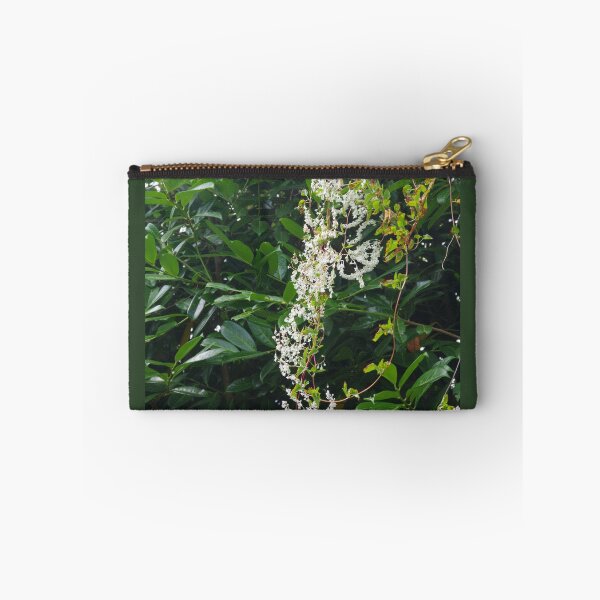 Item preview, Mile-a-Minute Vine designed and sold by lezvee.