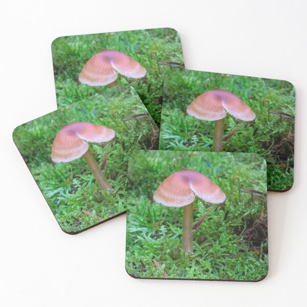 Item preview, Fungi dividido designed and sold by Dave Hare Photography.