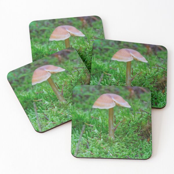 Item preview, Tiny Fungi. designed and sold by Dave Hare Photography.