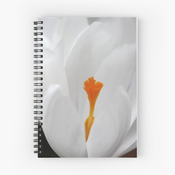 Item preview, White Spring Crocus designed and sold by AnnDixon.