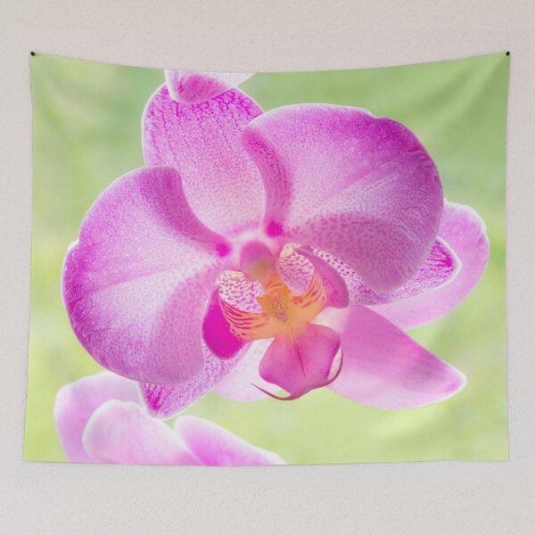Item preview, Backlit Iris designed and sold by Dave Hare Photography.