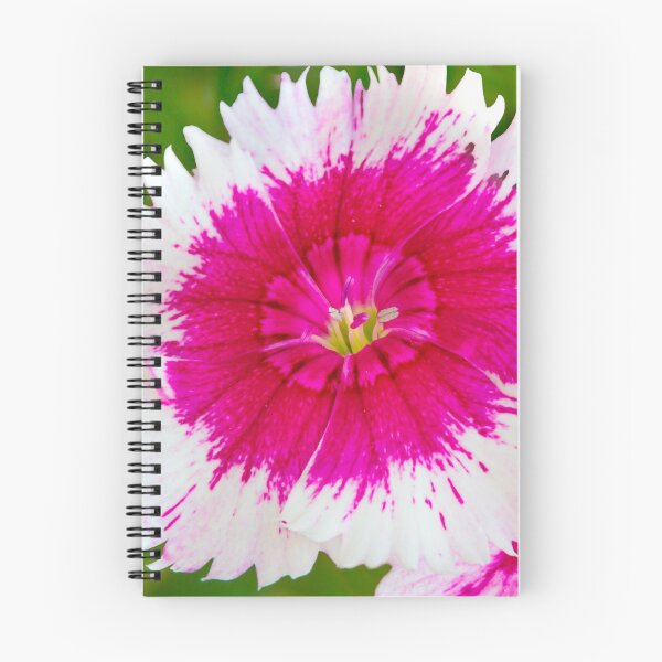Item preview, Garden Flora designed and sold by Dave Hare Photography.