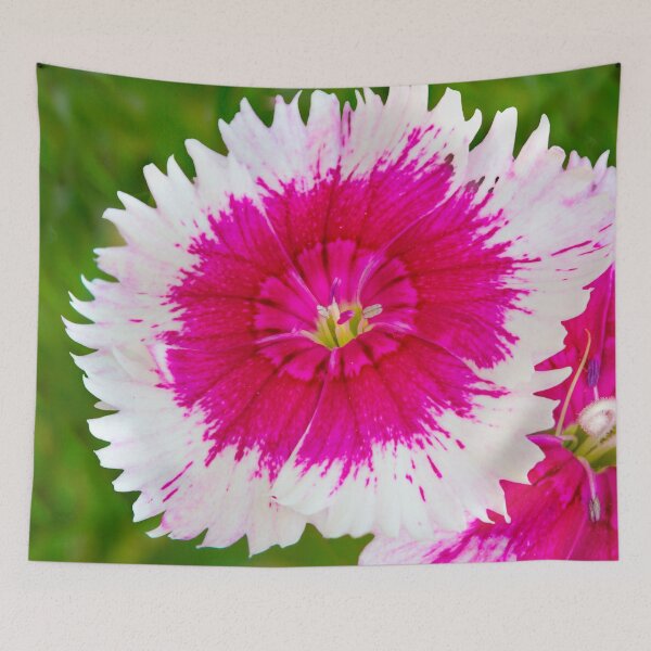 Item preview, Garden Flora designed and sold by Dave Hare Photography.