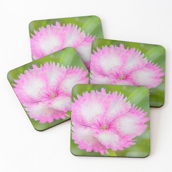 Item preview, Soft Petals designed and sold by Dave Hare Photography.