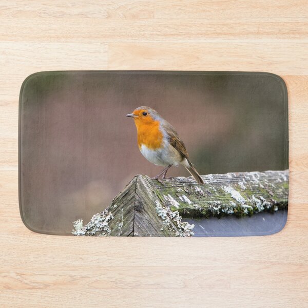 Item preview, European Robin designed and sold by Dave Hare Photography.