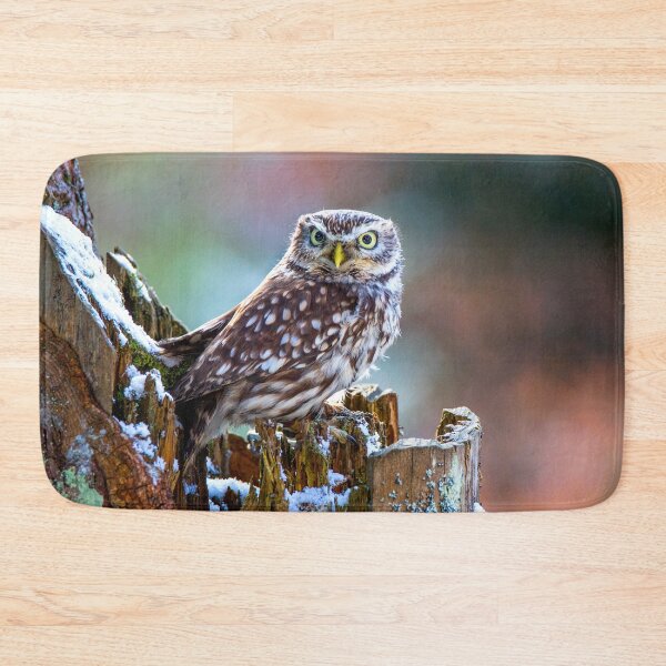 Item preview, Little Owl designed and sold by Dave Hare Photography.