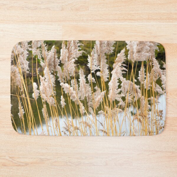 Item preview, Canal side grass designed and sold by Dave Hare Photography.
