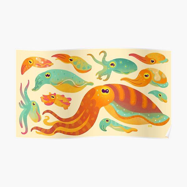 Cuttlefish Poster