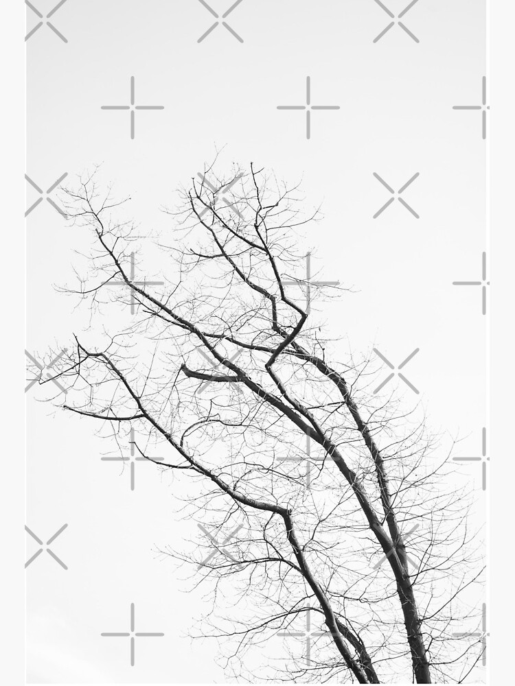 Thumbnail 2 von 2, Galeriedruck, aza's trees #6 designt und verkauft von NicolettasShop.
