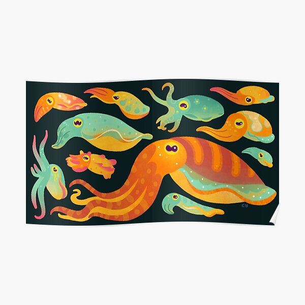Cuttlefish - dark Poster