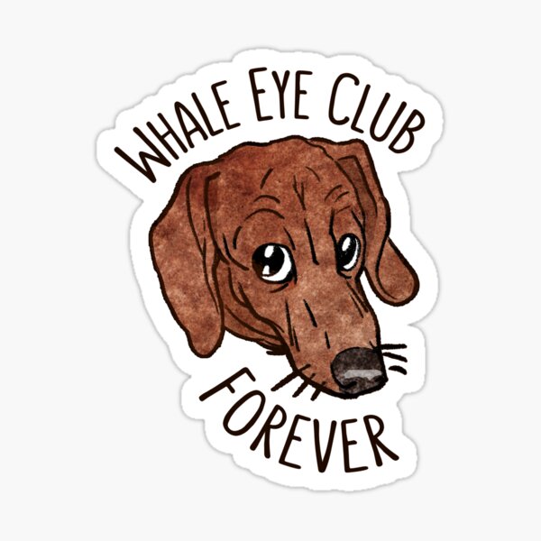 Whale Eye Club Forever Sticker