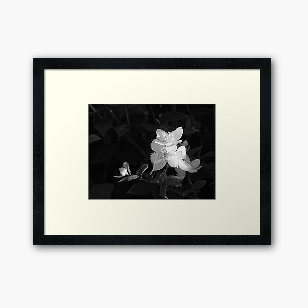 Light from the shade Framed Art Print
