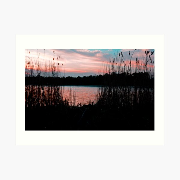 Through the Reeds Art Print