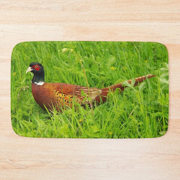 Item preview, Male, Ring-Necked Pheasant designed and sold by Fay Freshwater.