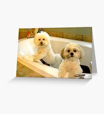 Baths with NO Water are Fun ! Greeting Card