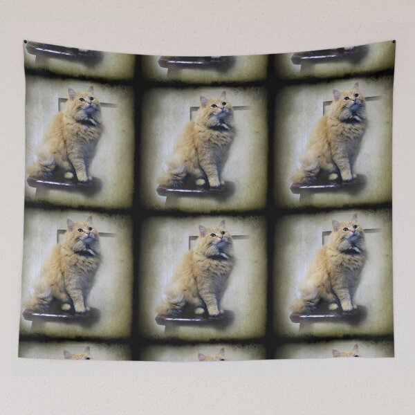 Item preview, Junper sits on the Kitchen stool designed and sold by Clare Colins.