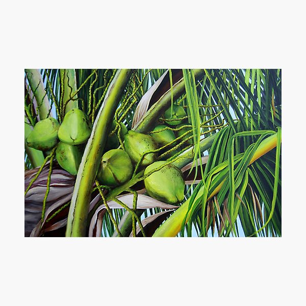 Aperçu de l'œuvre Noix de coco verte des tropiques créée et vendue par Dominica Alcantara.
