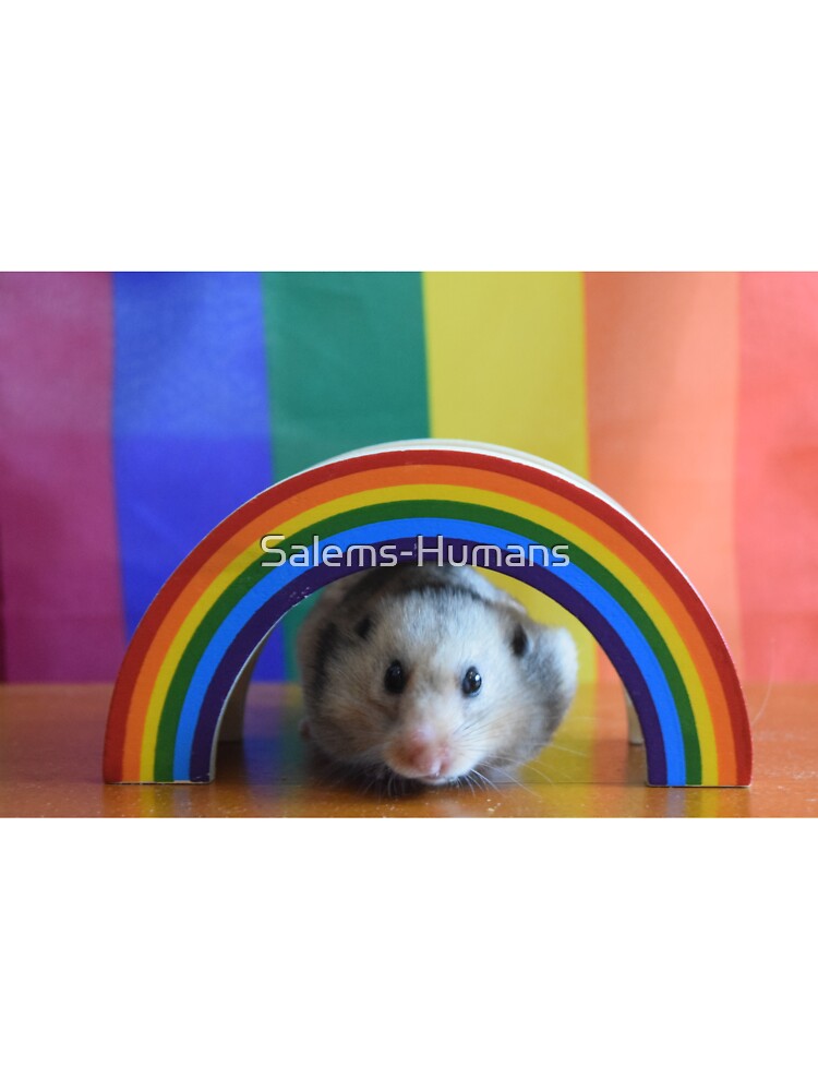 hamster rainbow bridge