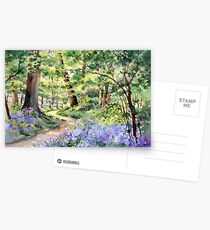 Bluebell Wood Postcards