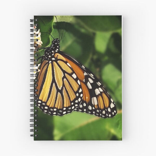 Item preview, Enjoying the Milkweed designed and sold by Jing3011.
