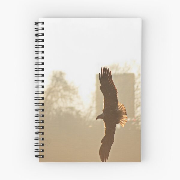 Item preview, Eagle flying in the sunrise designed and sold by CunningFoxPhoto.