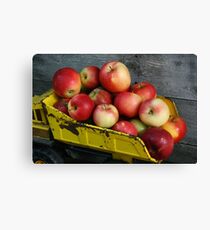 Lienzo Truckload of Apples