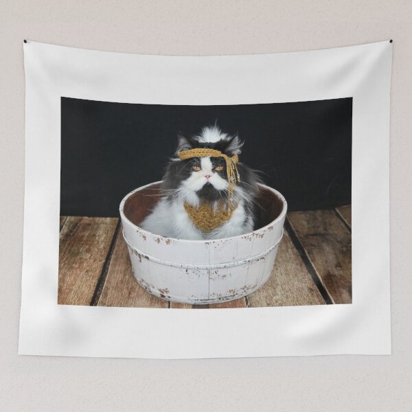 Item preview, Cat in Knitted Clothing designed and sold by HSPhotography.