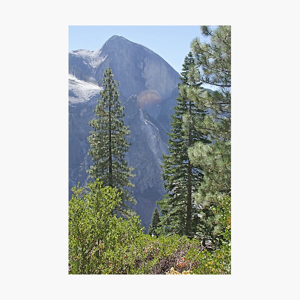 Squirrel with a view Photographic Print