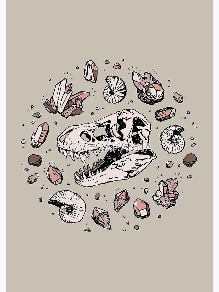 Geo-rex Vortex | Rose Quartz | Dinosaur Skull Fossil Art by OMEGAFAUNA