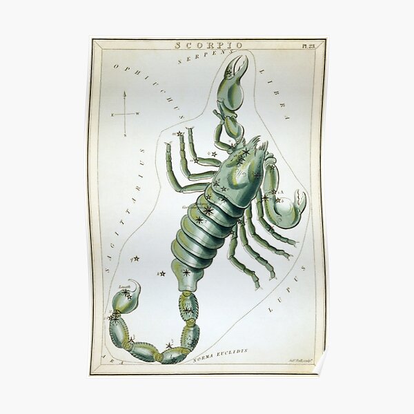 Vintage Scorpio Constellation Map (1825) Poster