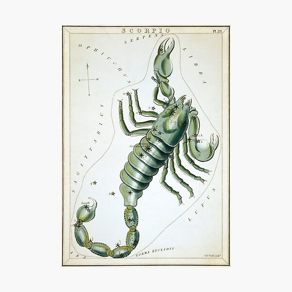 Item preview, Vintage Scorpio Constellation Map (1825) designed and sold by BravuraMedia.