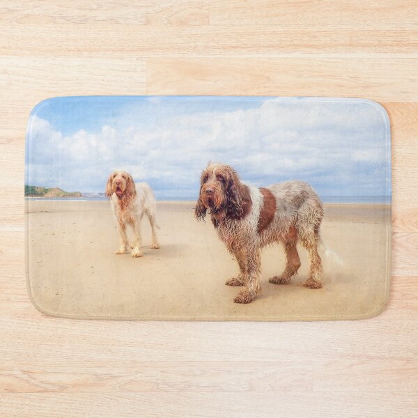 Item preview, Standing on a beach Spinoni by heidiannemorris designed and sold by FOLK ART FUSION by heidiannemorris.