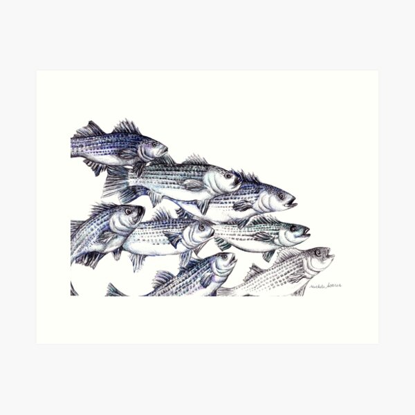 Art Of Fishing Art Prints for Sale