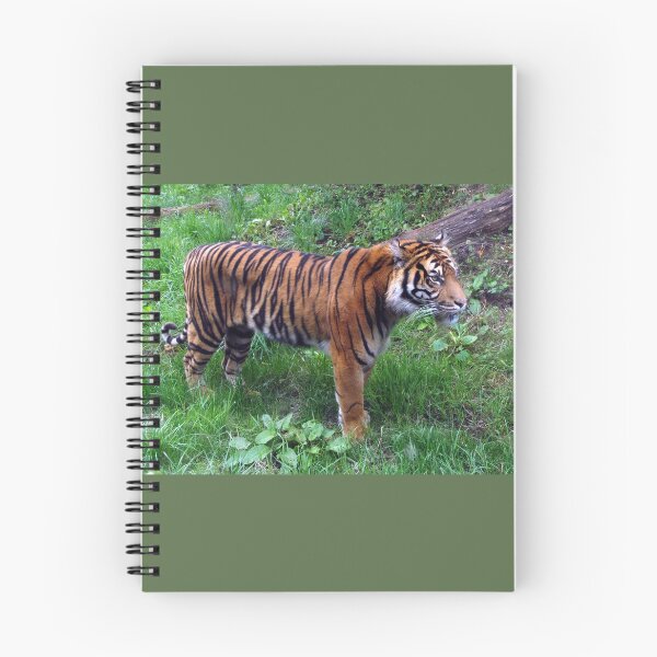 Item preview, Tigre designed and sold by Antony R James.