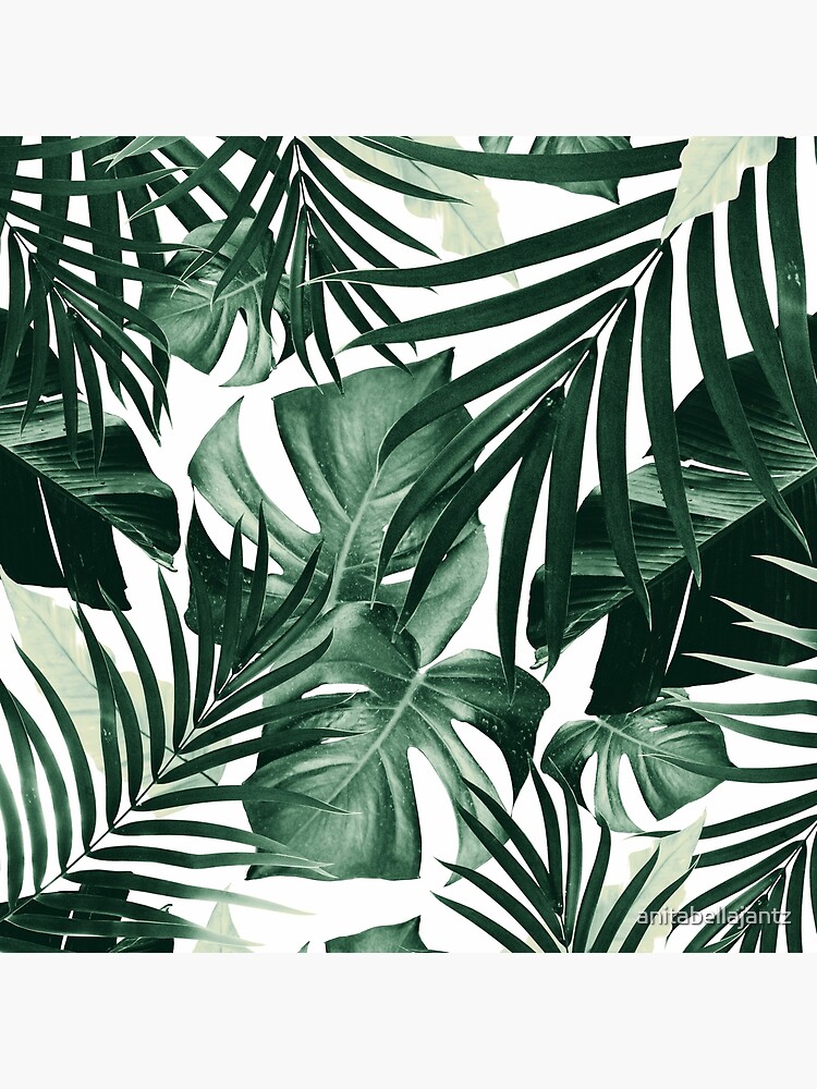 Monstera & Bananenblätter) auf weißem Hintergrund #tropical #decor #art von anitabellajantz